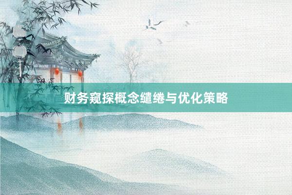财务窥探概念缱绻与优化策略